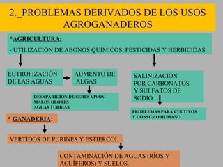 2._PROBLEMAS DERIVADOS DE LOS USOS
         AGROGANADEROS
*AGRICULTURA:
- UTILIZACIÓN DE ABONOS QUÍMICOS, PESTICIDAS Y HERBICIDAS


EUTROFIZACIÓN         AUMENTO DE     SALINIZACIÓN
DE LAS AGUAS          ALGAS          POR CARBONATOS
                                     Y SULFATOS DE
       DESAPARICIÓN DE SERES VIVOS   SODIO
       MALOS OLORES
       AGUAS TURBIAS
                                     PROBLEMAS PARA CULTIVOS
                                     Y CONSUMO HUMANO
* GANADERIA:


VERTIDOS DE PURINES Y ESTIERCOL

                CONTAMINACIÓN DE AGUAS (RÍOS Y
                ACUÍFEROS) Y SUELOS.
 