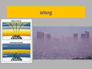 smog
 