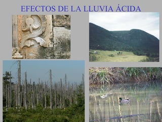 EFECTOS DE LA LLUVIA ÁCIDA
 