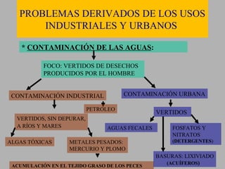 PROBLEMAS DERIVADOS DE LOS USOS
       INDUSTRIALES Y URBANOS

    * CONTAMINACIÓN DE LAS AGUAS:

           FOCO: VERTIDOS DE DESECHOS
           PRODUCIDOS POR EL HOMBRE


 CONTAMINACIÓN INDUSTRIAL             CONTAMINACIÓN URBANA

                           PETROLEO
                                                VERTIDOS
  VERTIDOS, SIN DEPURAR,
  A RÍOS Y MARES                AGUAS FECALES        FOSFATOS Y
                                                     NITRATOS
ALGAS TÓXICAS       METALES PESADOS:                 (DETERGENTES)
                    MERCURIO Y PLOMO
                                                BASURAS: LIXIVIADO
                                                   (ACUÍFEROS)
 ACUMULACIÓN EN EL TEJIDO GRASO DE LOS PECES
 
