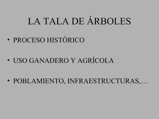 LA TALA DE ÁRBOLES
• PROCESO HISTÓRICO

• USO GANADERO Y AGRÍCOLA

• POBLAMIENTO, INFRAESTRUCTURAS,…
 