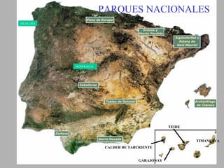PARQUES NACIONALES
ISLAS CIES




              M
             MONFRAGUE
             O
             N
             F




                                                    TEIDE


                                                            TIMANFAYA
                          CALDER DE TABURIENTE


                                        GARAJONAY
 