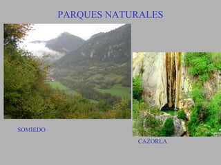 PARQUES NATURALES




SOMIEDO
                      CAZORLA
 