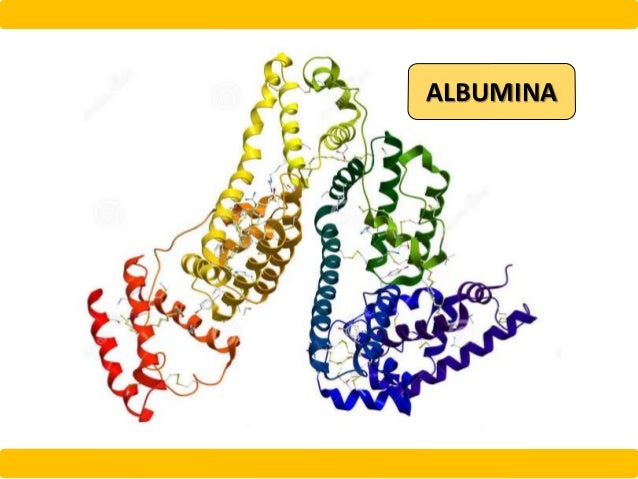 QUIMICA DE PROTEINAS