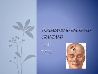 T.E.C.
T.C.E.
TRAUMATISMO ENCEFALO-
CRANEANO
 