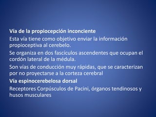 Via Inconsciente TEMA 7 VIAS DE CONDUCCION.pptx