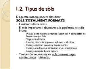 1.2. Tipus de sòls D’aquesta manera podem classificar: SÒLS TOTALMENT FORMATS Horitzons diferenciats El més importants i abundants a la península, els  sòls bruns : Mescla de la matèria orgànica superficial + compostos de ferro subsuperficial Vegetació de bosc Formes diferents segons el substrat o el clima Espanya silícica i oceànica: bruns humits Espanya mediterrani i interior: bruns meridionals Espanya calcària. bruns calcaris També són importants els  sòls o terres roges mediterrànies :  histosòls  