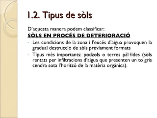 1.2. Tipus de sòls D’aquesta manera podem classificar: SÒLS EN PROCÉS DE DETERIORACIÓ   Les condicions de la zona i l’excés d’aigua provoquen la gradual destrucció de sòls prèviament formats Tipus més importants: podzols o terres pàl·lides (sòls rentats per infiltracions d’aigua que presenten un to gris cendra sota l’horitzó de la matèria orgànica).  