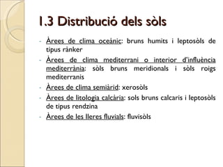 1.3 Distribució dels sòls   Àrees de clima oceànic : bruns humits i leptosòls de tipus rànker Àrees de clima mediterrani o interior d’influència mediterrània : sòls bruns meridionals i sòls roigs mediterranis Àrees de clima semiàrid : xerosòls Àrees de litologia calcària : sols bruns calcaris i leptosòls de tipus rendzina Àrees de les lleres fluvials : fluvisòls  
