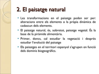 2. El paisatge natural Les transformacions en el paisatge poden ser per: alteracions entre els elements o la pròpia dinàmica de cadascun dels elements. El paisatge natural, és, sobretot, paisatge vegetal. És la base de la piràmide alimentària. Primer, doncs, cal estudiar la vegetació i després estudiar l’evolució del paisatge Els paisatges en el territori espanyol s’agrupen en funció dels dominis biogeogràfics.  