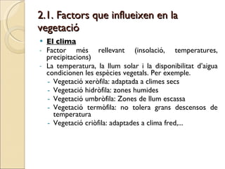2.1. Factors que influeixen en la vegetació  El clima Factor més rellevant (insolació, temperatures, precipitacions) La temperatura, la llum solar i la disponibilitat d’aigua condicionen les espècies vegetals. Per exemple. Vegetació xeròfila: adaptada a climes secs Vegetació hidròfila: zones humides Vegetació umbròfila: Zones de llum escassa Vegetació termòfila: no tolera grans descensos de temperatura Vegetació criòfila: adaptades a clima fred,... 