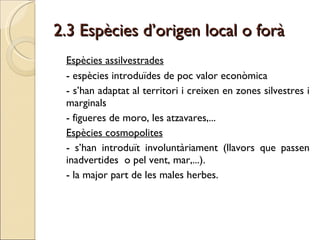 2.3 Espècies d’origen local o forà Espècies assilvestrades - espècies introduïdes de poc valor econòmica - s’han adaptat al territori i creixen en zones silvestres i marginals - figueres de moro, les atzavares,... Espècies cosmopolites - s’han introduït involuntàriament (llavors que passen inadvertides  o pel vent, mar,...). - la major part de les males herbes.  