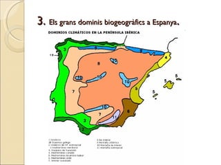 3.  Els grans dominis biogeogràfics a Espanya .   