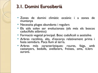 3.1. Domini Eurosiberià Zones de domini climàtic oceànic i a zones de muntanya  Necessita pluges abundants i regulars Els sóls solen ser evolucionats (els més els boscos caducifolis atlàntics) Formació vegetal principal. Bosc caduficoli o aestisilva Arbres rectilinis, alts, d’escorça relativament prima i fusta semidura. Poca llum al terra. Arbres més característiques: roures, faigs, amb castanyers, bedolls, avellaners, freixes, oms, ti.lers  aurons. 