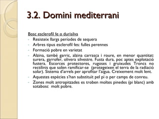 3.2. Domini mediterrani Bosc esclerofil·le o durisilva Resisteix llargs períodes de sequera Arbres tipus esclerofil·les: fulles perennes Formació pobre en varietat Alzina, també garric, alzina carrasca i roure, en menor quantitat: surera, garrofer, olivera silvestre. Fusta dura, poc aptes explotació fustera. Escorces protectores, rugoses i gruixudes Troncs no rectilinis que solen ramificar-se  (protegeixen el terra de la radiació solar). Sistema d’arrels per aprofitar l’aigua. Creixement molt lent.  Aquestes espècies s’han substituït pel pi o per camps de conreu.  Zones molt antropitzades es troben moltes pinedes (pi blanc) amb sotabosc  molt pobre. 
