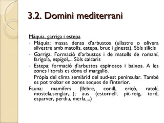 3.2. Domini mediterrani Màquia, garriga i estepa Màquia: massa densa d’arbustos (ullastre o olivera silvestre amb matolls, estepa, bruc i ginesta). Sòls silicis Garriga. Formació d’arbustos i de matolls de romaní, farigola, espígol,... Sòls calcaris Estepa: formació d’arbustos espinosos i baixos. A les zones litorals es dóna el margalló. Pròpia del clima semiàrid del sud-est peninsular. També es pot trobar en zones seques de l’interior. Fauna: mamífers (llebre, conill, eriçó, ratolí, mostela,senglar,...); aus (estornell, pit-roig, tord, esparver, perdiu, merla,...) 