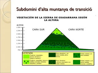 Subdomini d’alta muntanya de transició   
