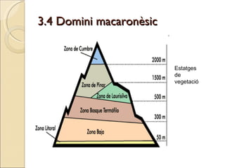 3.4 Domini macaronèsic Estatges de vegetació  