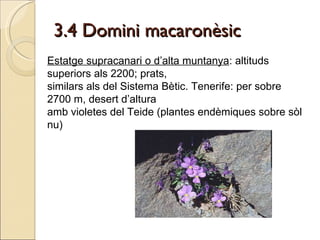 3.4 Domini macaronèsic Estatge supracanari o d’alta muntanya : altituds superiors als 2200; prats, similars als del Sistema Bètic. Tenerife: per sobre 2700 m, desert d’altura amb violetes del Teide (plantes endèmiques sobre sòl nu) 