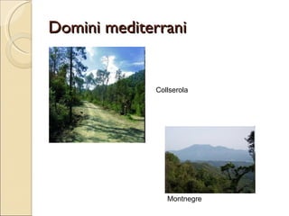 Domini mediterrani Collserola Montnegre 