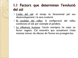 1.1 Factors que determinen l’evolució del sòl L’edat del sòl : el temps és fonamental pel seu desenvolupament i la seva evolució El modelat del relleu : la configuració del relleu condiciona el sòl; per exemple el pendent. La influència humana : l’acció antròpica ha estat un factor negatiu. Cal entendre que actualment s’està intentat minvar els efectes de l’home tot protegint-los.  