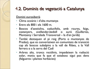 4 .2. Dominis de vegetació a Catalunya Domini eurosiberià Clima oceànic i d’alta muntanya Entre els 800 i els 1600 m. Boscos d’aestisilva, caducifolis, amb roures, faigs, castanyers, avellander,bedoll o auró (Guilleries, Montseny i Serralada Transversal – la d’en Jordà) També destaquen el pi roig (Ports o muntanyes de Prades), que es converteixen en comunitats de transició cap als boscos subalpins a la vall de Ribes, a la Vall ferrera o a la serra del Cadí Arbres alts, troncs rectilinis, impedeixen la radiació solar, motiu que fa que el sotabosc sigui poc dens (falgueres i plantes herbàcies) 