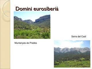 Domini eurosiberià   Muntanyes de Prades Serra del Cadí  