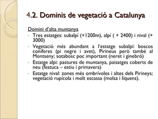 4 .2. Dominis de vegetació a Catalunya Domini d’alta muntanya Tres estatges: subalpí (+1200m), alpí ( + 2400) i nival (+ 3000) Vegetació més abundant a l’estatge subalpí: boscos coníferes (pi negre i avet), Pirineus però també al Montseny; sotabosc poc important (neret i ginebró) Estatge alpi: pastures de muntanya, paisatges coberts de neu (festuca – estiu i primavera) Estatge nival: zones més ombrívoles i altes dels Pirineys; vegetació rupícola i molt escassa (molsa i líquens).  