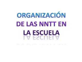 Organización de las nntt en la escuela 