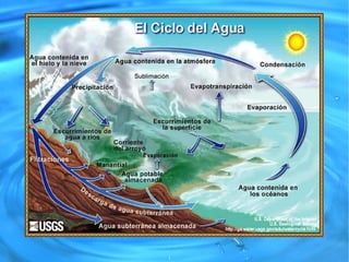 Corrientes son masas de agua que se mueven como si se tratase del viento, provocado por las diferencias de temperatura entre las aguas. 