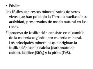 Fósiles Los fósiles son restos mineralizados de seres vivos que han poblado la Tierra o huellas de su actividad, preservados de modo natural en las rocas. El proceso de fosilización consiste en el cambio de la materia orgánica por materia mineral. Los principales minerales que originan la fosilización son la calcita (carbonato de calcio), la sílice (SiO 2 ) y la pirita (FeS). 