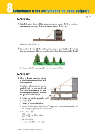 8
Soluciones a las actividades de cada epígrafe
                                                                                            Pág. 10

    PÁGINA 176
     1   Calcula la altura de un edificio que proyecta una sombra de 49 m en el mo-
         mento en que una estaca de 2 m arroja una sombra de 1,25 m.




         Tiene una altura de 78,4 m.

     2   Las sombras de estos árboles medían, a las cinco de la tarde, 12 m, 8 m, 6 m y
         4 m, respectivamente. El árbol pequeño mide 2,5 m. ¿Cuánto miden los demás?




         El primero mide 7,5 m, el segundo, 5 m y el tercero, 3,75 m.


    PÁGINA 177
                                                                                  E
     3   Observa de qué ingenioso método
         se vale Ramón para averiguar la al-
         tura del edificio:                                                       E
                                                                      C
         Se sitúa de tal manera que la parte                                      D
         alta de la verja y la parte alta del edi-                A
                                                         1,56 m       B
         ficio estén alineadas con sus ojos.                          C
         Señala su posición y toma las medi-                                      D
                                                                A 2,4 m   6,5 m
         das que se ven en el dibujo.                                 B
                                                         1,56 m
         a) Explica por qué los triángulos ABC y CDE son semejantes.
                     —                              2,4 m      6,5 m
         b) Calcula ED.
         c) Calcula la altura del edificio.
                     ^                               ^
         a) Porque A del pequeño es igual que C del grande, y como son rectángulos y tie-
            nen un ángulo agudo igual, son semejantes.
         b) 3 – 1,56 = 1,44
             ED = 6,5 8 ED = 3,9 m
            1,44 2,4
         c) 3 + 3,9 = 6,9 m
            La altura del edificio es de 6,9 m.



    Unidad 8. Teorema de Pitágoras. Semejanza
 