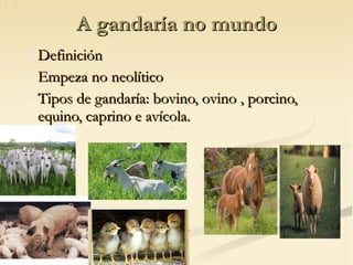 A gandaría no mundo

    Definición

    Empeza no neolítico

    Tipos de gandaría: bovino, ovino , porcino,
    equino, caprino e avícola.
 