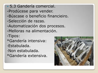  5.3 Gandería comercial.
-Prodúcese para vender.
-Búscase o beneficio financieiro.
-Selección de razas.
-Automatización dos procesos.
-Melloras na alimentación.
-Tipos:
*Gandería intensiva:
·Estabulada.
·Non estabulada.
*Gandería extensiva.
 