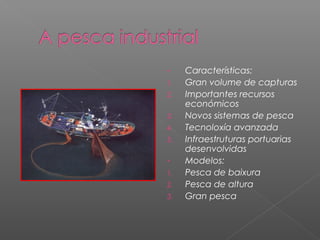 -    Características:
1.   Gran volume de capturas
2.   Importantes recursos
     económicos
3.   Novos sistemas de pesca
4.   Tecnoloxía avanzada
5.   Infraestruturas portuarias
     desenvolvidas
-    Modelos:
1.   Pesca de baixura
2.   Pesca de altura
3.   Gran pesca
 