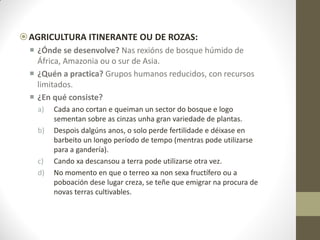AGRICULTURA ITINERANTE OU DE ROZAS:
 ¿Ónde se desenvolve? Nas rexións de bosque húmido de
África, Amazonia ou o sur de Asia.
 ¿Quén a practica? Grupos humanos reducidos, con recursos
limitados.
 ¿En qué consiste?
a)
b)

c)
d)

Cada ano cortan e queiman un sector do bosque e logo
sementan sobre as cinzas unha gran variedade de plantas.
Despois dalgúns anos, o solo perde fertilidade e déixase en
barbeito un longo período de tempo (mentras pode utilizarse
para a gandería).
Cando xa descansou a terra pode utilizarse otra vez.
No momento en que o terreo xa non sexa fructífero ou a
poboación dese lugar creza, se teñe que emigrar na procura de
novas terras cultivables.

 