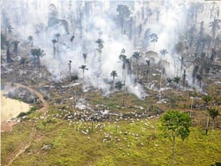 Tema 8. leccións 1 3