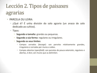 Lección 2. Tipos de paisaxes
agrarias
• PARCELA OU LEIRA:
• ¿Qué é? É unha división do solo agrario (un anaco de solo
dedicado ao cultivo).
• Tipos:
• Segundo o tamaño: grandes ou pequenas.
• Segundo a súa forma: regulares ou irregulares.
• Segundo os seus límites:
• Campos cerrados (bocage): son parcelas relativamente grandes,
irregulares e cerradas por muros o sebes.
• Campos abiertos (openfield): son parcelas de pouca extensión, regulares e
abertas, é dicir, sen muros que as delimiten.

 