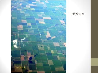 OPENFIELD

 