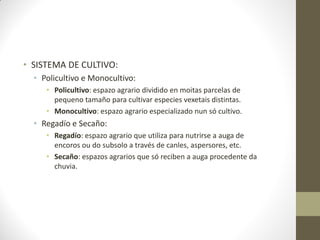 • SISTEMA DE CULTIVO:
• Policultivo e Monocultivo:
• Policultivo: espazo agrario dividido en moitas parcelas de
pequeno tamaño para cultivar especies vexetais distintas.
• Monocultivo: espazo agrario especializado nun só cultivo.

• Regadío e Secaño:
• Regadío: espazo agrario que utiliza para nutrirse a auga de
encoros ou do subsolo a través de canles, aspersores, etc.
• Secaño: espazos agrarios que só reciben a auga procedente da
chuvia.

 