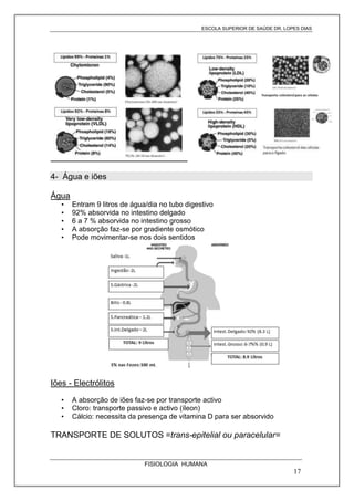 ESCOLA SUPERIOR DE SAÚDE DR. LOPES DIAS

4- Água e iões
Água
•
•
•
•
•

Entram 9 litros de água/dia no tubo digestivo
92% absorvida no intestino delgado
6 a 7 % absorvida no intestino grosso
A absorção faz-se por gradiente osmótico
Pode movimentar-se nos dois sentidos

Iões - Electrólitos
•
•
•

A absorção de iões faz-se por transporte activo
Cloro: transporte passivo e activo (íleon)
Cálcio: necessita da presença de vitamina D para ser absorvido

TRANSPORTE DE SOLUTOS =trans-epitelial ou paracelular=

FISIOLOGIA HUMANA

17

 