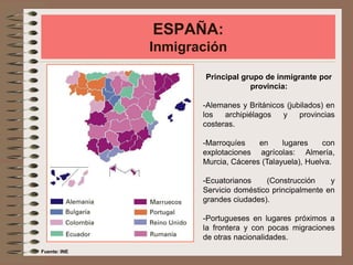 ESPAÑA:
Inmigración
Principal grupo de inmigrante por
provincia:
-Alemanes y Británicos (jubilados) en
los archipiélagos y provincias
costeras.
-Marroquíes en lugares con
explotaciones agrícolas: Almería,
Murcia, Cáceres (Talayuela), Huelva.
-Ecuatorianos (Construcción y
Servicio doméstico principalmente en
grandes ciudades).
-Portugueses en lugares próximos a
la frontera y con pocas migraciones
de otras nacionalidades.
Fuente: INE
 