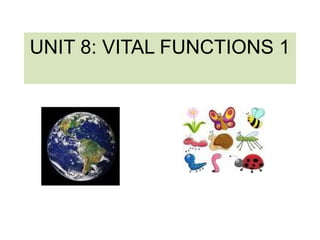 UNIT 8: VITAL FUNCTIONS 1
 