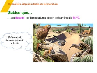 Curiositats. Algunes dades de temperatura
… als deserts, les temperatures poden arribar fins als 58 ºC.
Sabies que…
Uf! Quina calor!
Només puc eixir
a la nit.
Uf! Quina calor!
Només puc eixir
a la nit.
 