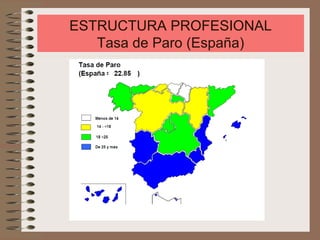 ESTRUCTURA PROFESIONAL
Tasa de Paro (España)
 