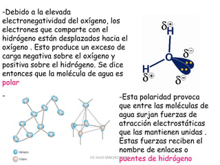 -Debido a la elevada
electronegatividad del oxígeno, los
electrones que comparte con el
hidrógeno están desplazados hacia el
oxígeno . Esto produce un exceso de
carga negativa sobre el oxígeno y
positiva sobre el hidrógeno. Se dice
entonces que la molécula de agua es
polar
- -Esta polaridad provoca
que entre las moléculas de
agua surjan fuerzas de
atracción electrostáticas
que las mantienen unidas .
Estas fuerzas reciben el
nombre de enlaces o
puentes de hidrógenoCIC JULIO SÁNCHEZ MATAS
 