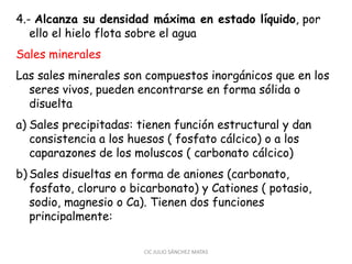 4.- Alcanza su densidad máxima en estado líquido, por
ello el hielo flota sobre el agua
Sales minerales
Las sales minerales son compuestos inorgánicos que en los
seres vivos, pueden encontrarse en forma sólida o
disuelta
a) Sales precipitadas: tienen función estructural y dan
consistencia a los huesos ( fosfato cálcico) o a los
caparazones de los moluscos ( carbonato cálcico)
b) Sales disueltas en forma de aniones (carbonato,
fosfato, cloruro o bicarbonato) y Cationes ( potasio,
sodio, magnesio o Ca). Tienen dos funciones
principalmente:
CIC JULIO SÁNCHEZ MATAS
 