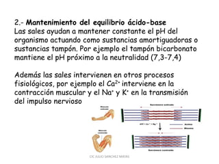 CIC JULIO SÁNCHEZ MATAS
2.- Mantenimiento del equilibrio ácido-base
Las sales ayudan a mantener constante el pH del
organismo actuando como sustancias amortiguadoras o
sustancias tampón. Por ejemplo el tampón bicarbonato
mantiene el pH próximo a la neutralidad (7,3-7,4)
Además las sales intervienen en otros procesos
fisiológicos, por ejemplo el Ca2+ interviene en la
contracción muscular y el Na+ y K+ en la transmisión
del impulso nervioso
 