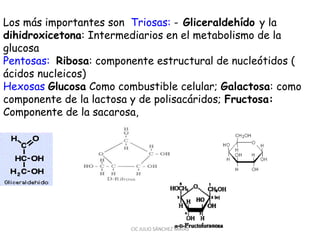 Los más importantes son Triosas: - Gliceraldehído y la
dihidroxicetona: Intermediarios en el metabolismo de la
glucosa
Pentosas: Ribosa: componente estructural de nucleótidos (
ácidos nucleicos)
Hexosas Glucosa Como combustible celular; Galactosa: como
componente de la lactosa y de polisacáridos; Fructosa:
Componente de la sacarosa,
CIC JULIO SÁNCHEZ MATAS
 