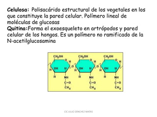 Celulosa: Polisacárido estructural de los vegetales en los
que constituye la pared celular. Polímero lineal de
moléculas de glucosas
Quitina:Forma el exoesqueleto en artrópodos y pared
celular de los hongos. Es un polímero no ramificado de la
N-acetilglucosamina
CIC JULIO SÁNCHEZ MATAS
 